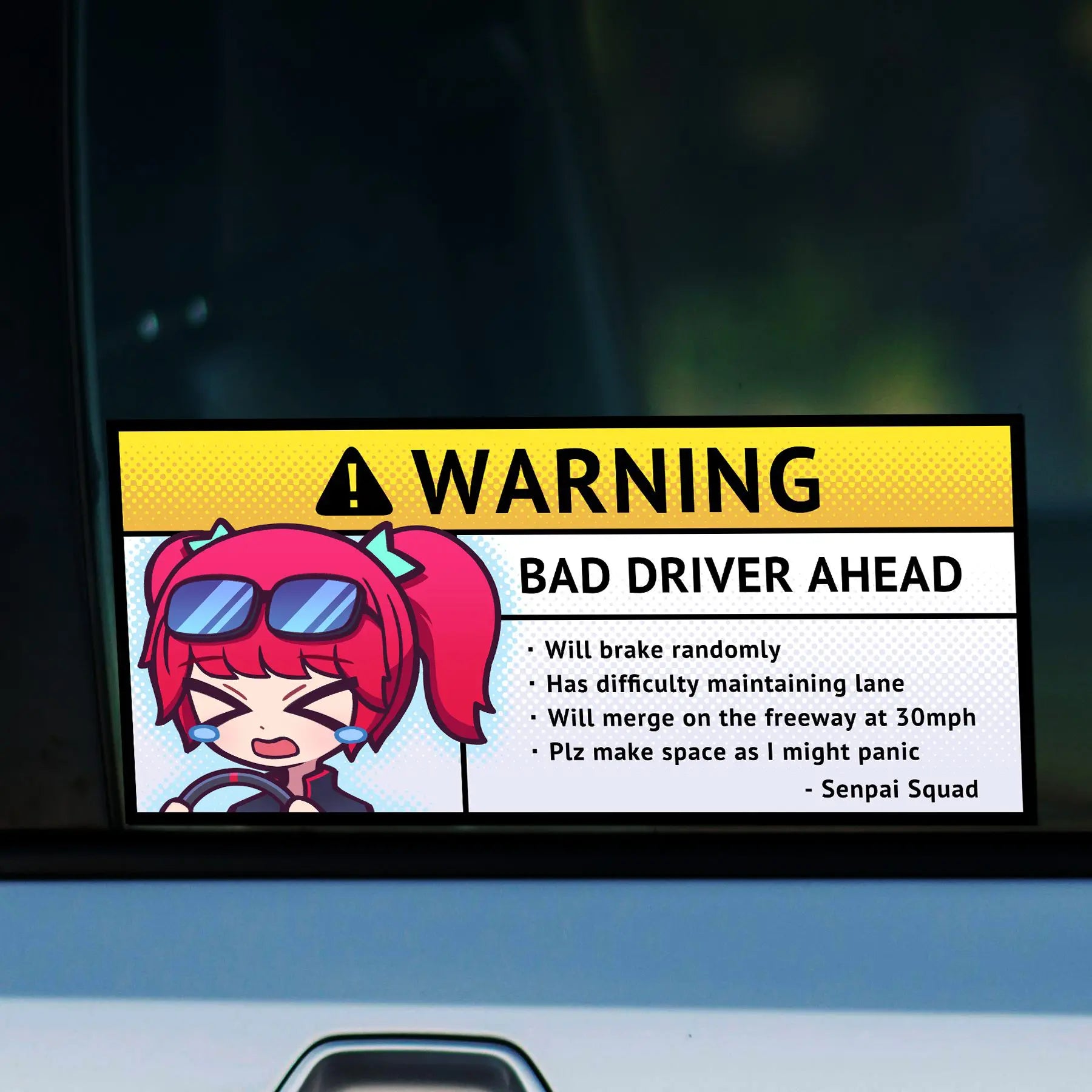 Bad Driver Warning Decal