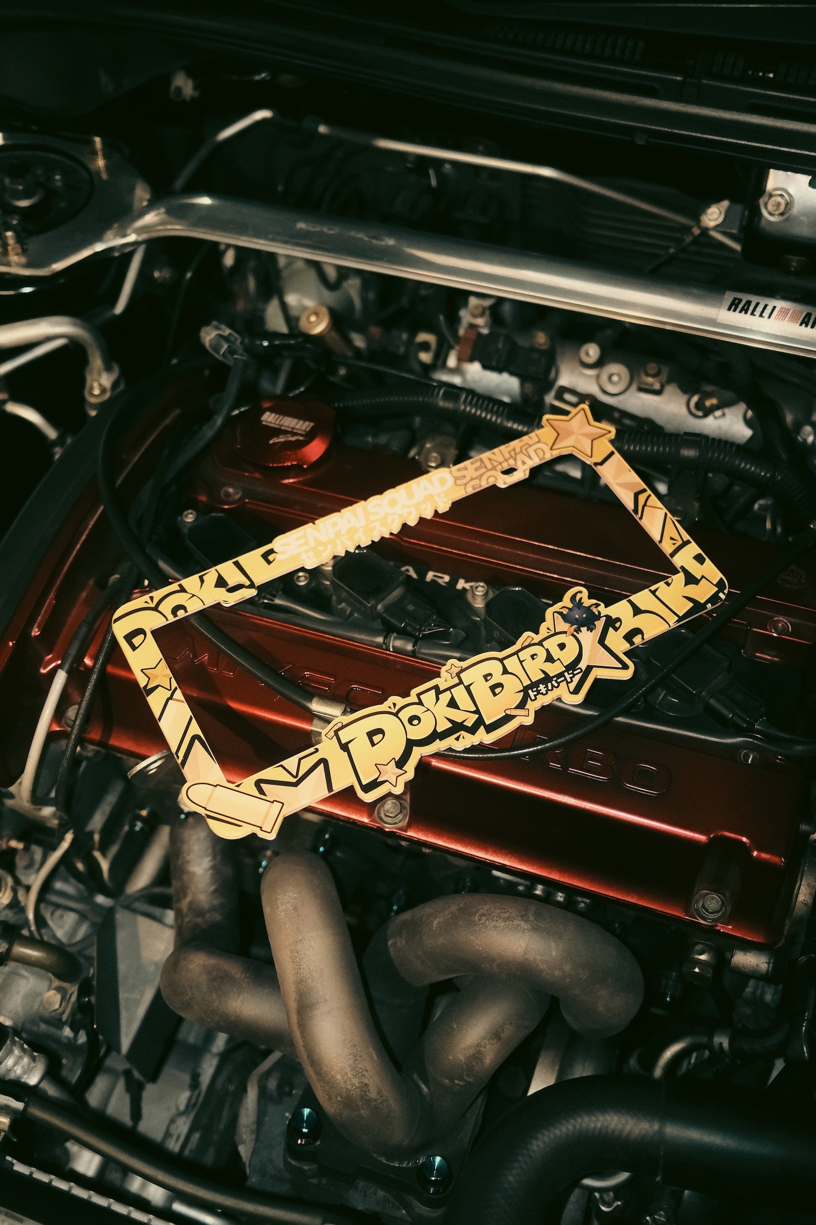 Dokibird License Plate Frame V1