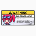 Bad Driver Warning Decal