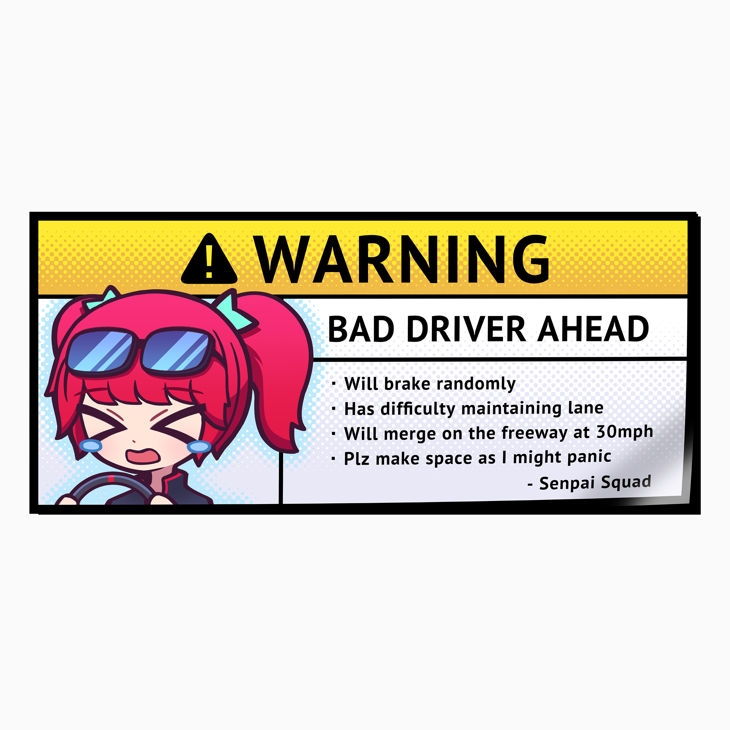 Bad Driver Warning Decal